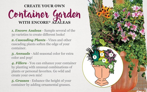 Encore Azalea Create Your Own Container Garden