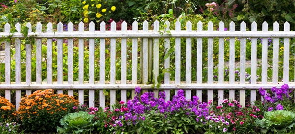 White picket fence with border plants