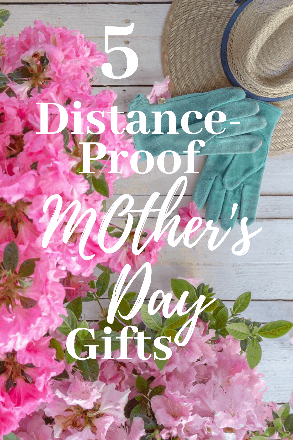 5 distance-proof mother's day gifts Encore Azaleas