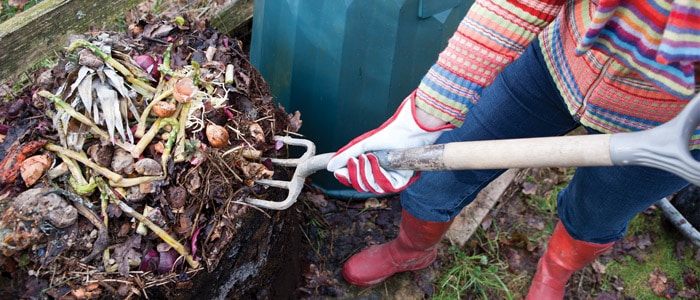 Composting your plants